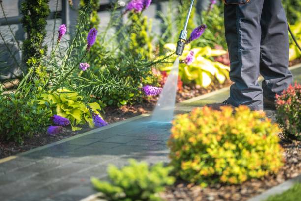 Best Patio and Deck Pressure Washing  in Sharpes, FL